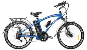 electric bike worth the cost